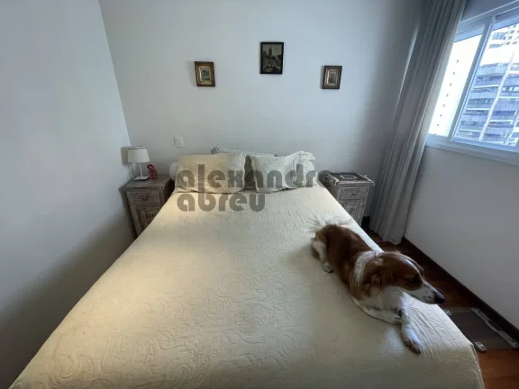 Imagem Apartamento com 2 dormitórios a venda na Vila Suzana