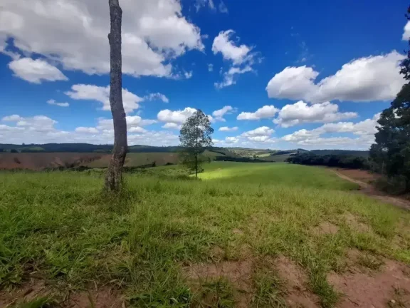 Imagem Fazenda à venda em Ibertioga, ZONA RURAL, 148ha