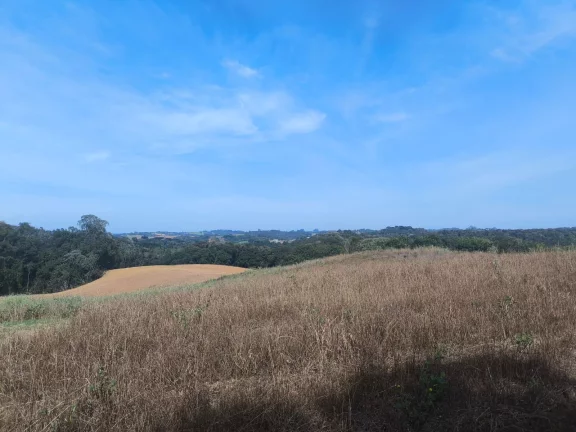 Imagem Chácara 2 Alqueires Bolinete