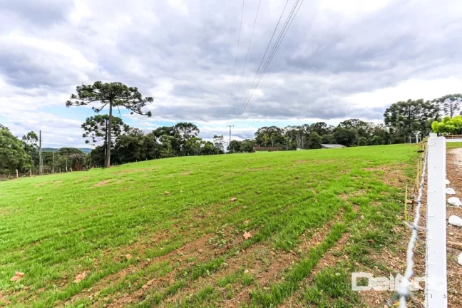 Imagem Sitio maravilhoso com 10,51 hectares - a 200m do Mercado 4 irmãos - Fazendinha - c/ Escritura e Registro - Rio Negro.