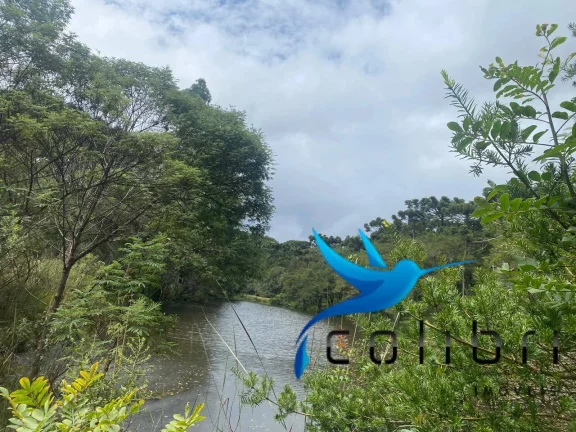 Imagem Chácara com 4 Quartos à Venda, 72.600 m² em Pinheiro Ocado - Agudos Do Sul