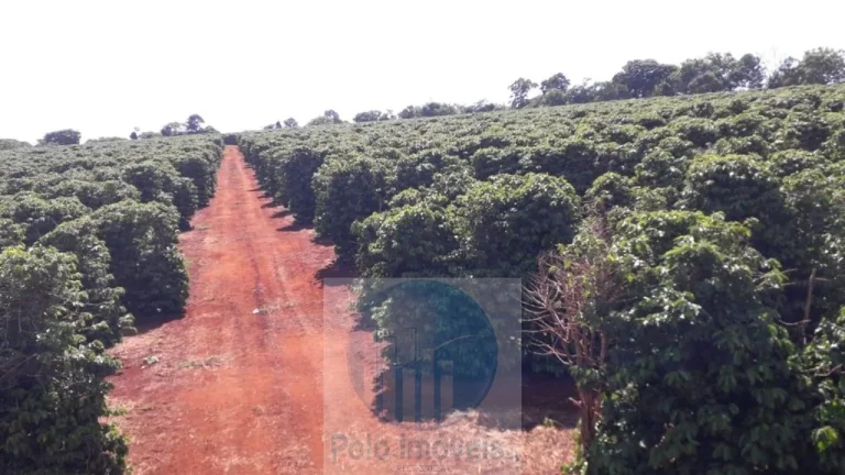 Imagem Sítio com 79 mil pés de Café, 11 alqueires com estrutura e terreirão em São Sebastião do Paraíso - Minas Gerais.