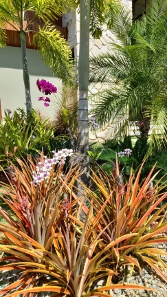 Imagem Casa alto padrão localizada em Praia do Forte condomínio com acesso ao mar Praia Bella.