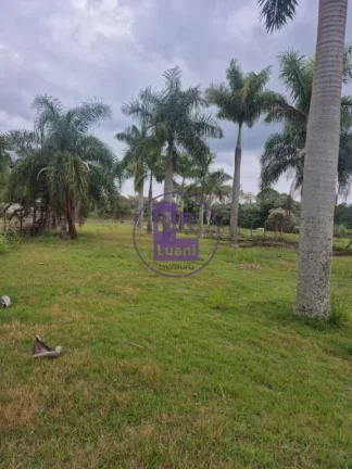 Imagem Excelente terreno 2020m² com 20 palmeiras imperiais.