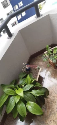 Imagem Apartamento com 3 dormitórios à venda, 83 m² por R$ 430.000,00 - Vila Rosália - Guarulhos/SP