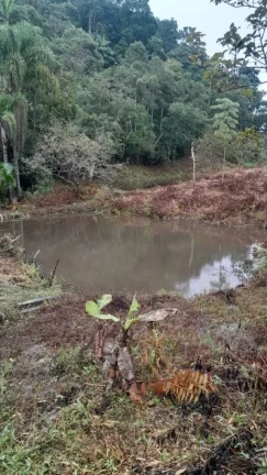 Imagem Sítio para Venda em Sete Barras, Rural