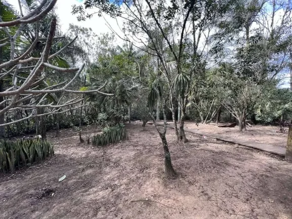 Imagem Km 36 Rap. Tavares - Área para Incorporação - 18.455m²