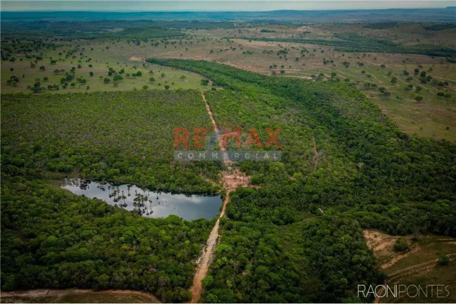 Imagem Fazenda à Venda, 45.340.000 m² em Centro - Figueirão - Figueirão