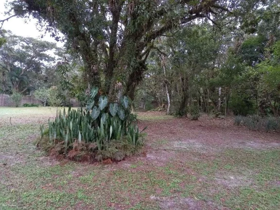 Imagem Chácara para Venda em Itanhaém, Jardim São Fernando, 3 dormitórios, 1 suíte, 2 banheiros, 10 vagas
