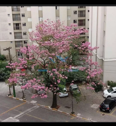 Imagem Apartamento 2 dormitórios + 1 vaga - Campo Limpo