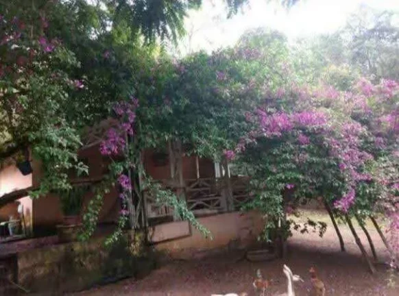 Imagem VENDE-SE CHÁCARA EM FRANCISCO MORATO - SP