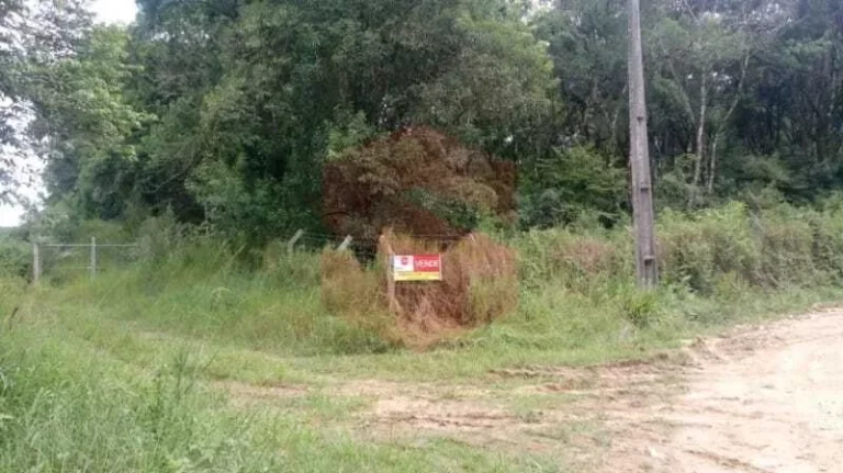 Imagem Chácara à venda em Campo Largo/PR