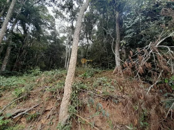 Imagem Terreno para Venda em Teresópolis / RJ no bairro Posse