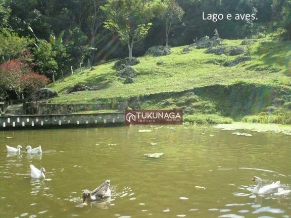 Imagem Chácara à venda, 8000 m² por R$ 650.000,00 - Itapeva - Itapeva/MG