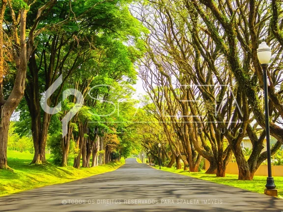 Imagem Terreno amplo com 5.033 m² próximo a mata à venda na Fazenda Serrazul I