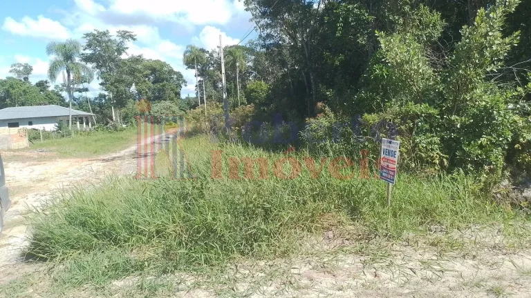 Imagem MEIO LOTE À VENDA - BALNEÁRIO PALMEIRAS | Itapoá