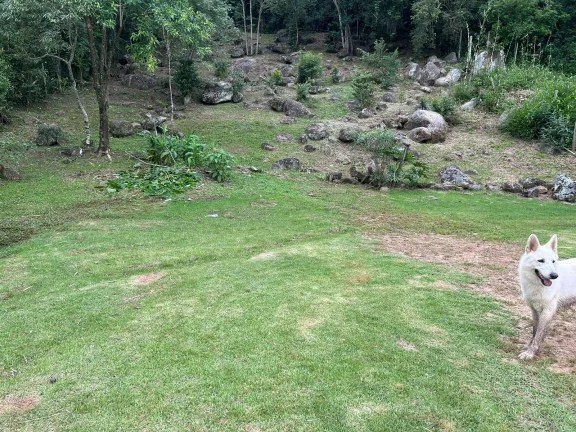 Imagem Terreno Espetacular em Paulo Lopes-SC: 3.250,48 m² na Ribeirão, Projeto Aprovado e IPTU em Dia!