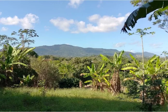Imagem Terreno à Venda em Guaratiba