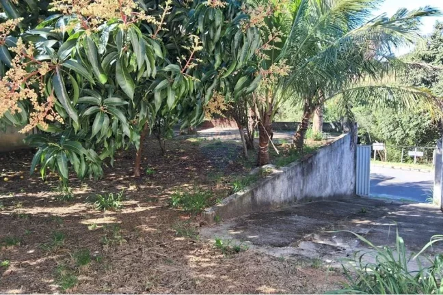 Imagem Terreno documentado em Jacaroá