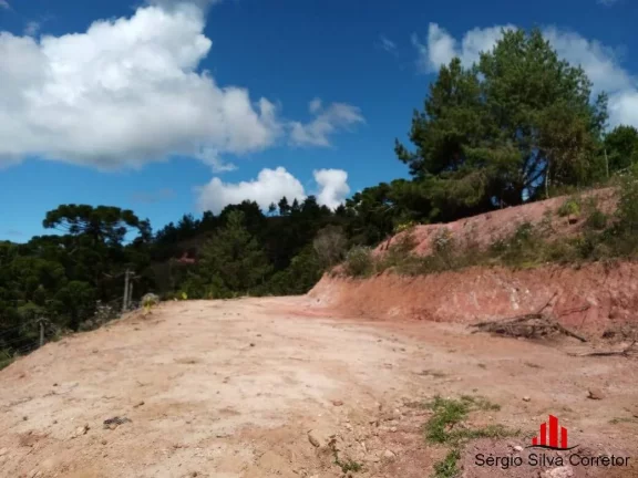 Imagem Terreno para venda na Região do Descansopolis em Campos do Jordão/SP.