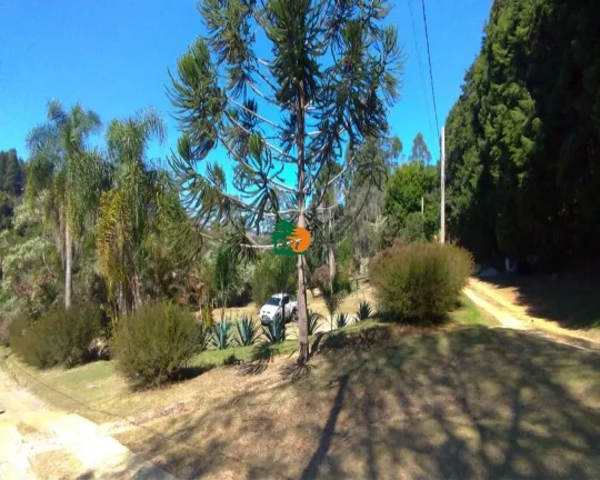 Imagem Terreno para Venda em São Roque, Sorocamirim (canguera)