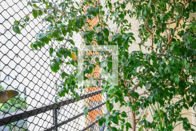 Imagem Apartamento à Venda - Aclimação, 3 Quartos, 67 m2