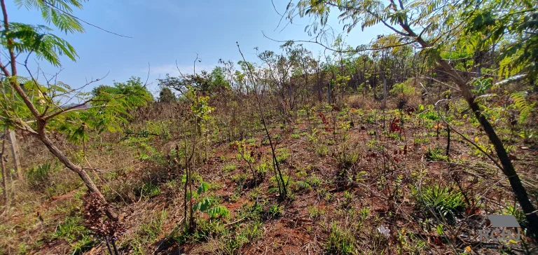 Imagem TERRENO RESIDENCIAL em ESMERALDAS - MG, JARDIM BANDEIRANTES