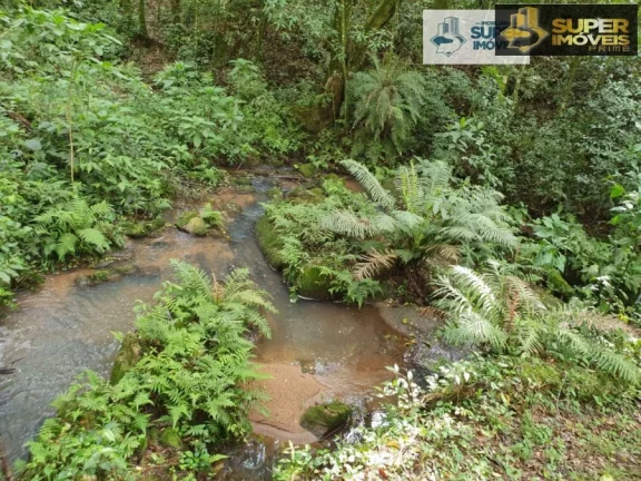 Imagem Chácara 3 hectares para Venda na BR em Cascata Pelotas-RS