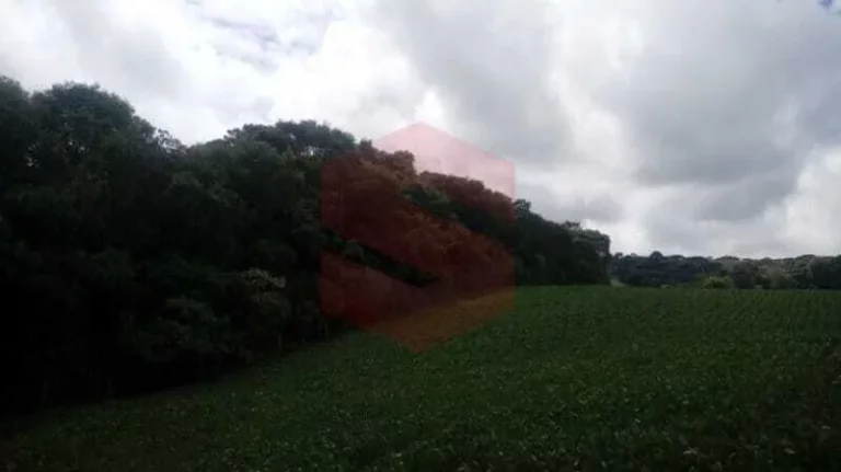 Imagem Chácara à venda em Campo Largo/PR