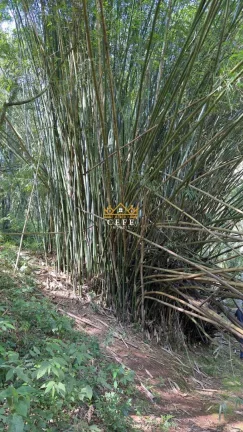 Imagem Chácara - Sítio com 2 Dormitorio(s) localizado(a) no bairro São Jacó em Nova Petrópolis / RIO GRANDE DO SUL Ref.:1511
