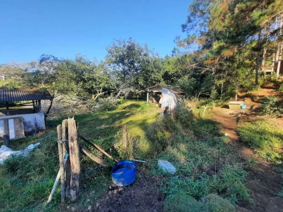Imagem Terreno à Venda, 101.000 m² (IDEAL PARA CENTRO DE DISTRIBUIÇÃO) São Miguel , Biguaçu/SC