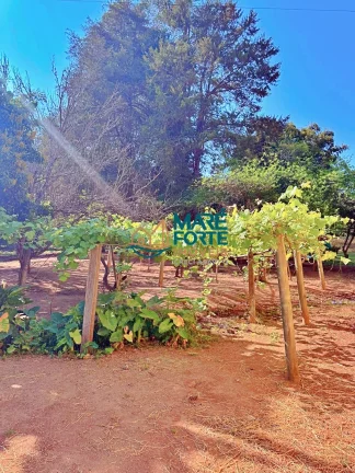 Imagem OPORTUNIDADE - LINDO HARAS A VENDA EM LAGOINHA SP