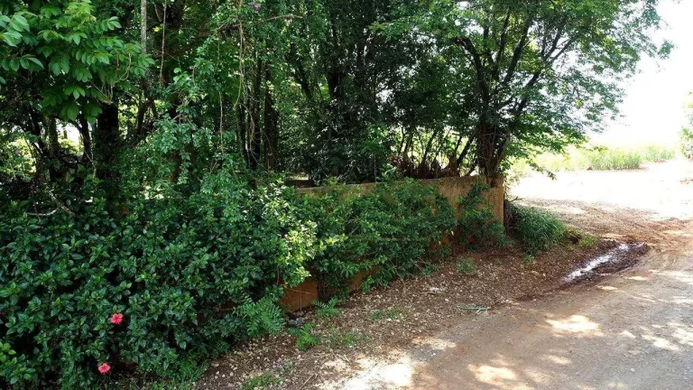 Imagem Chácara com 3 dormitórios à venda, 25000 m² por R$ 800.000,00 - Campininha - Cesário Lange/SP