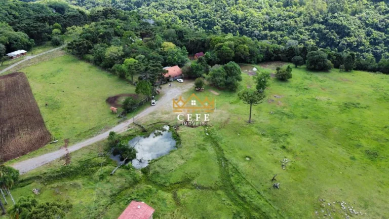 Imagem Chácara - Sítio com 2 Dormitorio(s) localizado(a) no bairro Linha Ávila em Gramado / RIO GRANDE DO SUL Ref.:1478