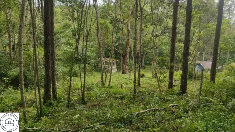 Imagem Terreno em Sao Paulo / Parelheiros / Bairro Embura / Travessa estrada marsilac.