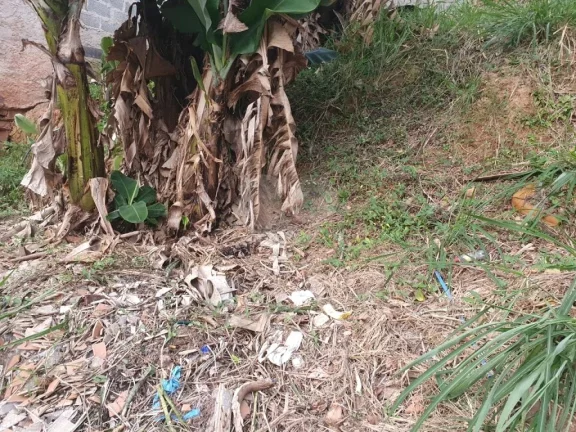 Imagem Terreno à venda em Butantã, São Paulo - SP