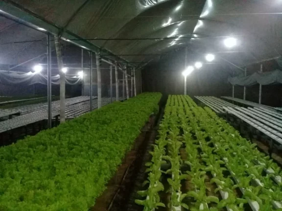 Imagem Sítio com 2 dormitórios à venda, 24200 m² por R$ 1.500.000,00 - Itapety - Mogi das Cruzes/SP