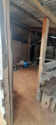 Imagem OPORTUNIDADE PARA VOCÊ QUE BUSCA COMPRAR SUA CHACARA, SINOP - MT