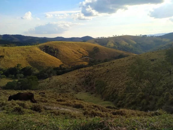 Imagem Fazenda à venda no bairro Catioca - Cunha/SP