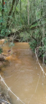 Imagem Fazenda a venda São Miguel Arcanjo SP