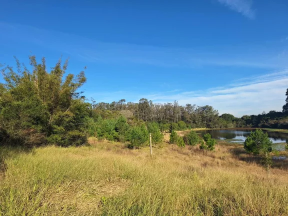 Imagem Sítio a venda com 9 Hectares, Passo da Areia, Viamão/RS