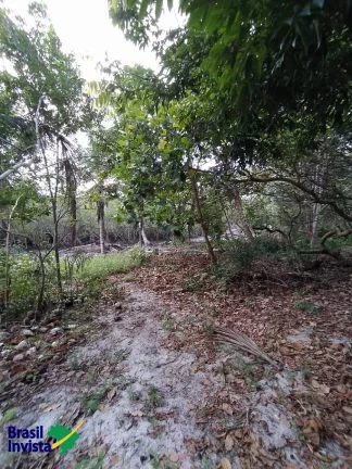 Imagem ÁREA EM ARRAIAL D'AJUDA