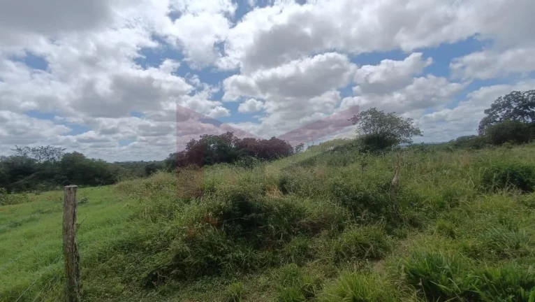 Imagem VENDO SÍTIO - 15 TAREFAS / OPORTUINIDADE IMPERDÍVEL