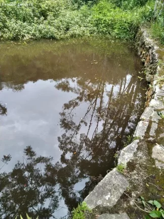 Imagem Chácara para Venda em Ribeirão Pires, Somma, 4 dormitórios, 1 banheiro, 10 vagas