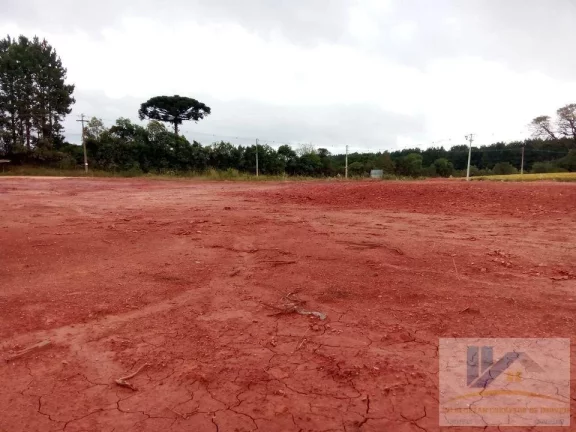 Imagem Terreno para Venda em São José dos Pinhais, Campo Largo da Roseira