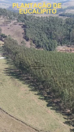 Imagem Fazenda à venda no bairro Rio do Peixe - Lagoinha/SP