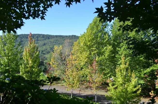 Imagem Terreno à venda, 0 m² por - R$ 12.500.000,00 - Linha Bonita - Gramado/RS