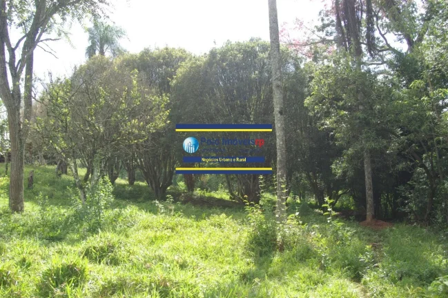 Imagem Sítio 14 alqueires com estrutura, casa, água e energia, R$ 90.000,00 valor do alqueire - Jacuí - Minas Gerais