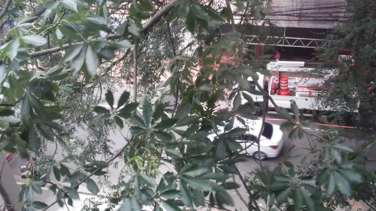 Imagem Laje comercial na Paulista - Casa das Flores
