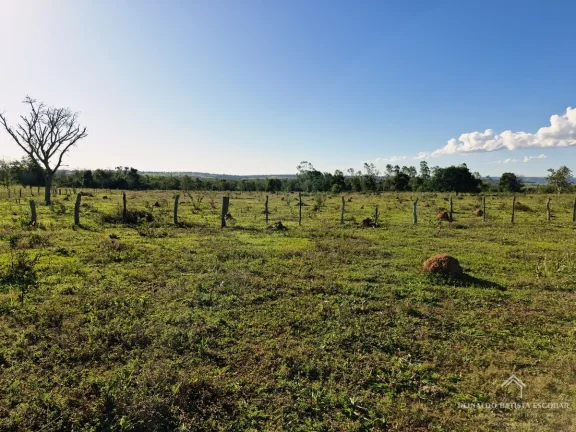 Imagem Chácara 7,8 hectares em Rochedo-MS